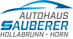 Logo Erwin Sauberer GmbH